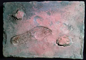 Footprint Prints: Roman tile with a mans footprint, 1st century