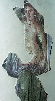 Badajoz Gallery: Roman wall-painting with a mythological subject