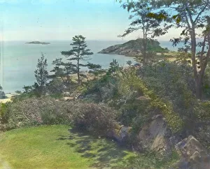 Rockery Prints: Rookwood, Evelyn Russell Sturgis house