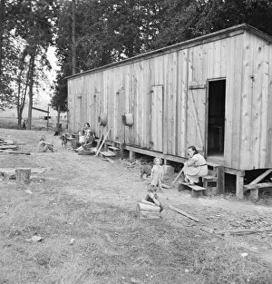 Washtub Collection: One room per family in rough wooden barracks... near Grants pass, Josephine County, Oregon, 1939
