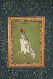 Rooster, c. 1620. Creator: Unknown