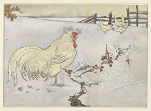 Rooster Prints: Rooster and three chickens in a snowy landscape with a branch of holly