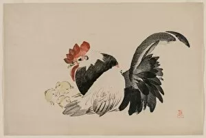 Shibata Zeshin Japanese Gallery: Rooster, Hen, and Chicks, c. 1880s. Creator: Shibata Zeshin (Japanese, 1807-1891)