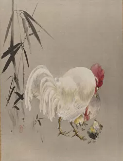 Chicks Gallery: Rooster and Hen with Chicks, ca. 1887. Creator: Watanabe Seitei