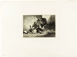 Drypoint Collection: Rooster and Hens, c. 1864. Creator: Charles Emile Jacque