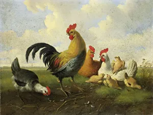 Chick Prints: A Rooster with Hens and Chicks, 1855. Creator: Albertus Verhoesen