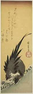 Rooster Gallery: Rooster on a hillside in winter, mid-1830s. Creator: Ando Hiroshige
