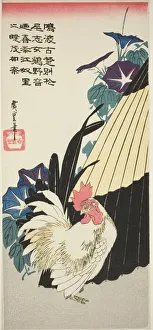 Convolvulus Arvensis Prints: Rooster, umbrella, and morning glories, 1830s. Creator: Ando Hiroshige