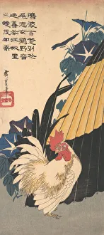 Rooster, Umbrella, and Morning Glories, ca. 1830. ca. 1830. Creator: Ando Hiroshige