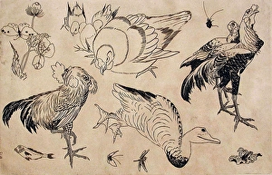 1866 Prints: Roosters, Ducks, etc. 1866. Creators: Felix Bracquemond, Hokusai