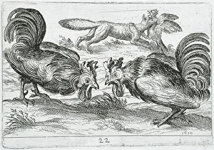 Cockerels Prints: Two Roosters Fighting, 1610. Creator: Hendrick Hondius I
