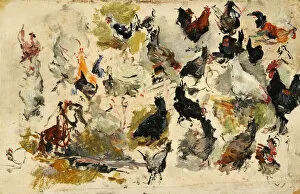 Animals And Birds Collection: Roosters Study, 1869. Creator: Fortuny Marsal, Mariano (1838-1874)