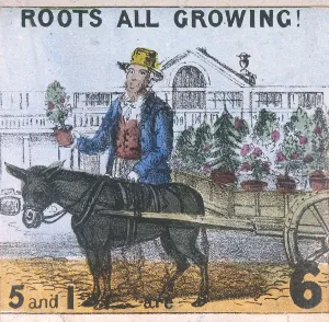 Roots all Growing!, Cries of London, c1840. Artist: TH Jones