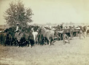 Grabill Prints: Roping and changing scene at --T Camp on round up of --T 999 --S & G