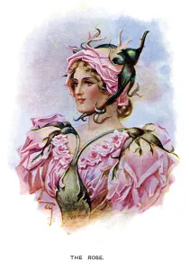 C Wilhelm Prints: The Rose, 1899