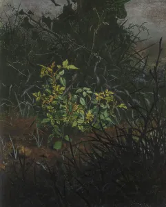 Rose Bush in a Thicket, 1865. Creator: Leon Bonvin