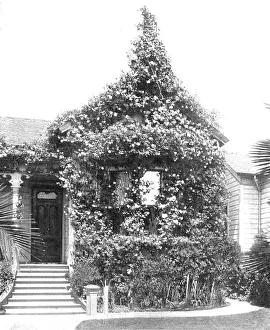 Rose Cottage, South Spring Street, Los Angeles, California, USA, c1900. Creator: Unknown