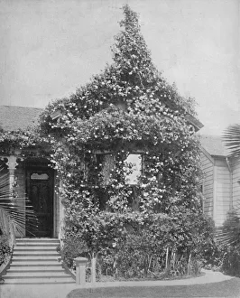 Cromwell Prints: Rose Cottage, South Spring Street, Los Angeles, California, c1897. Creator: Unknown
