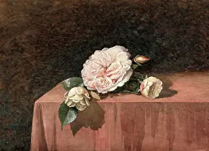 Rose flowers on a table. Creator: Unknown