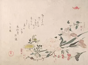 Rose, Iris, Primrose and Daisy, 1815. Creator: Kubo Shunman