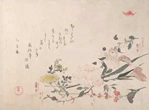 Bellis Perennis Gallery: Rose, Iris, Primrose and Daisy, 1815. Creator: Kubo Shunman