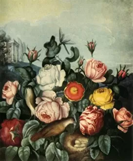 Birche Collection: Roses, 1799, (1944). Creator: Richard Earlom