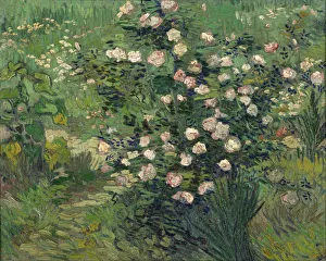 Blooming Prints: Roses, 1889. Artist: Gogh, Vincent, van (1853-1890)