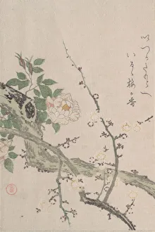 Roses and Plum Blossoms, 19th century. Creator: Kubo Shunman Roses and Plum Blossoms, 19th century. Creator: Kubo Shunman