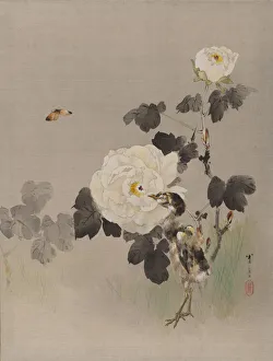 Chick Prints: Roses, Young Bird and a Butterfly, ca. 1887. Creator: Watanabe Seitei