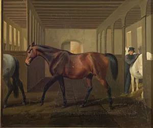 Rosetta, 1839-1843. Creator: Fritz Thomsen