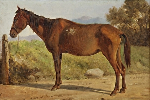 Post Prints: Rosinante (Study of an old standing horse), c1847. Creator: Wilhelm Marstrand