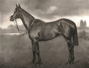 British Sports And Sportsmen Collection: Ross, 1911. Creator: Unknown