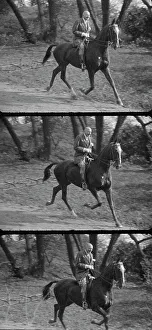 Rothbart Albert Prints: Rothbart, Albert, Mr. on horseback, between 1920 and 1935. Creator: Arnold Genthe