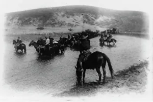 Rough riders on horseback in water at Montauk Point, 1898. Creator: Frances Benjamin Johnston