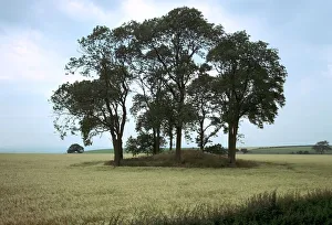 Round Barrow