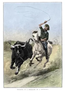 Rounding Up Prints: Rounding Up A Straggler On A Cattle Run, Australia, 1886. Artist: Frank P Mahony