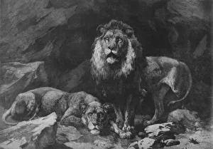 Dicksee Prints: Roused!, c1910, (1911). Artist: Herbert Thomas Dicksee