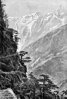 Images Dated 5th February 2008: The route to Tibet, near Rogi, through the Upper Satlej Valley, 1895