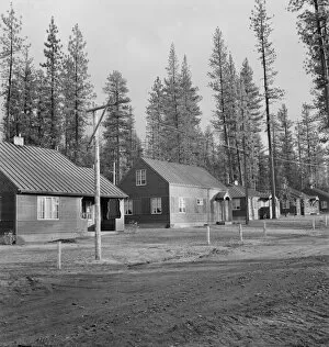 Accommodation Gallery: Row of model homes in millworkers town, Gilchrist, Oregon, 1939. Creator: Dorothea Lange