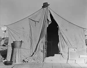 Peas Prints: One of a row of tents, home of a pea picker