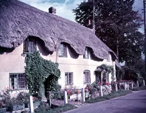Cottages Prints: Row of thatched cottages at Lower Whatcombe