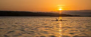 Water Surface Gallery: Rowing in the Sun Rise. Creator: Dorte Verner