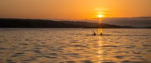 Distant Collection: Rowing in the Sun Rise. Creator: Dorte Verner