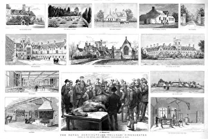 Veterinarian Prints: The Royal Agricultural College, Cirencester, 1888. Creator: Unknown
