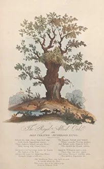Images Dated 5th November 2020: The Royal Allied Oak and Self-Created Mushroom Kings, May 29, 1815