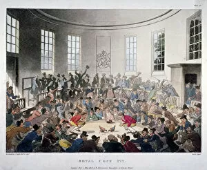 Augustus Charles Gallery: Royal Cock Pit, 1808. Artist: J Bluck