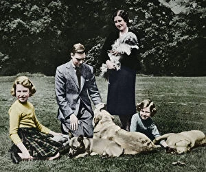 Colorised Collection: Royal family as a happy group of dog lovers, 1937. Artist: Michael Chance