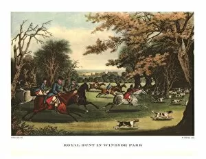 Foxhound Collection: Royal Hunt in Windsor Park, early-mid 19th century, (c1955). Creator: Matthew Dubourg