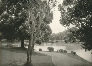 Royal Lakes, Rangoon, 1900. Creator: Unknown