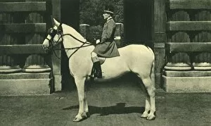 Buckingham Palace Gallery: Royal Outrider in Scarlet Livery, 1950s. Creator: Unknown